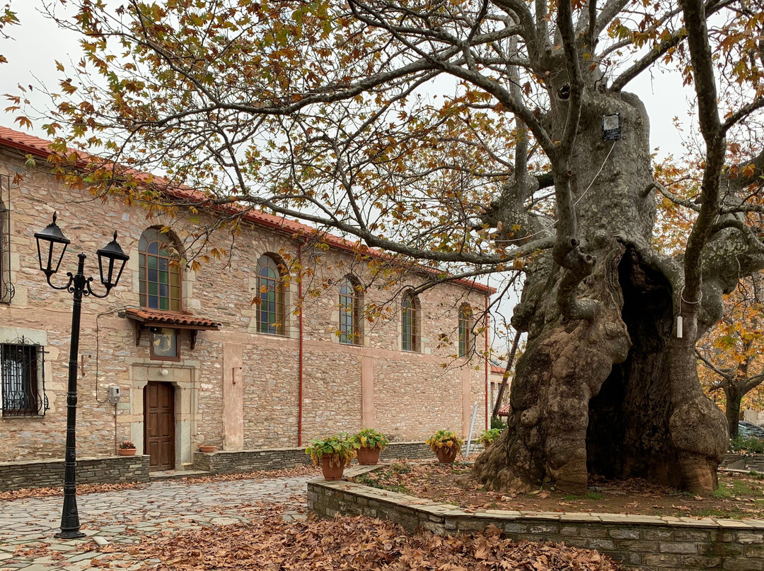 Mount Ossa-Nessonas必去景点