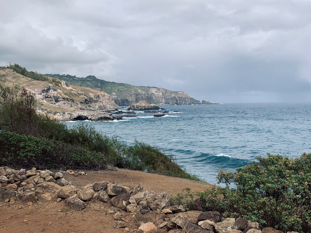 Maui Mountain Activities, LLC景点图片