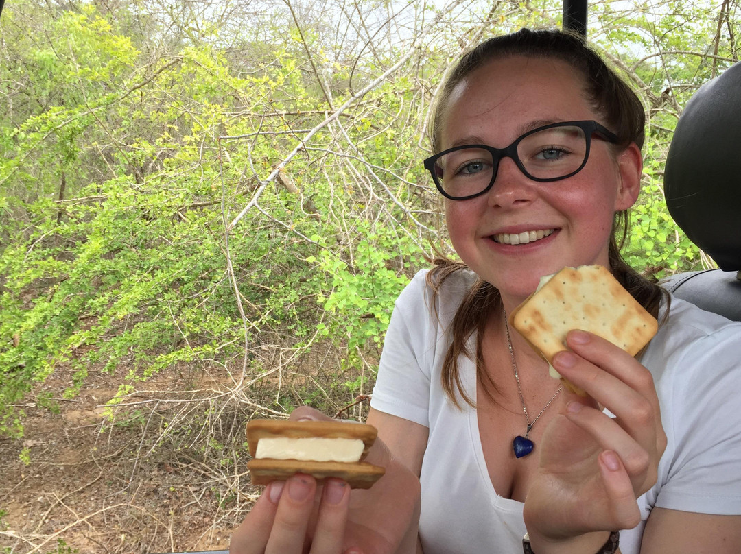 Earth Lanka tours-蒂瑟默哈拉默必去景点