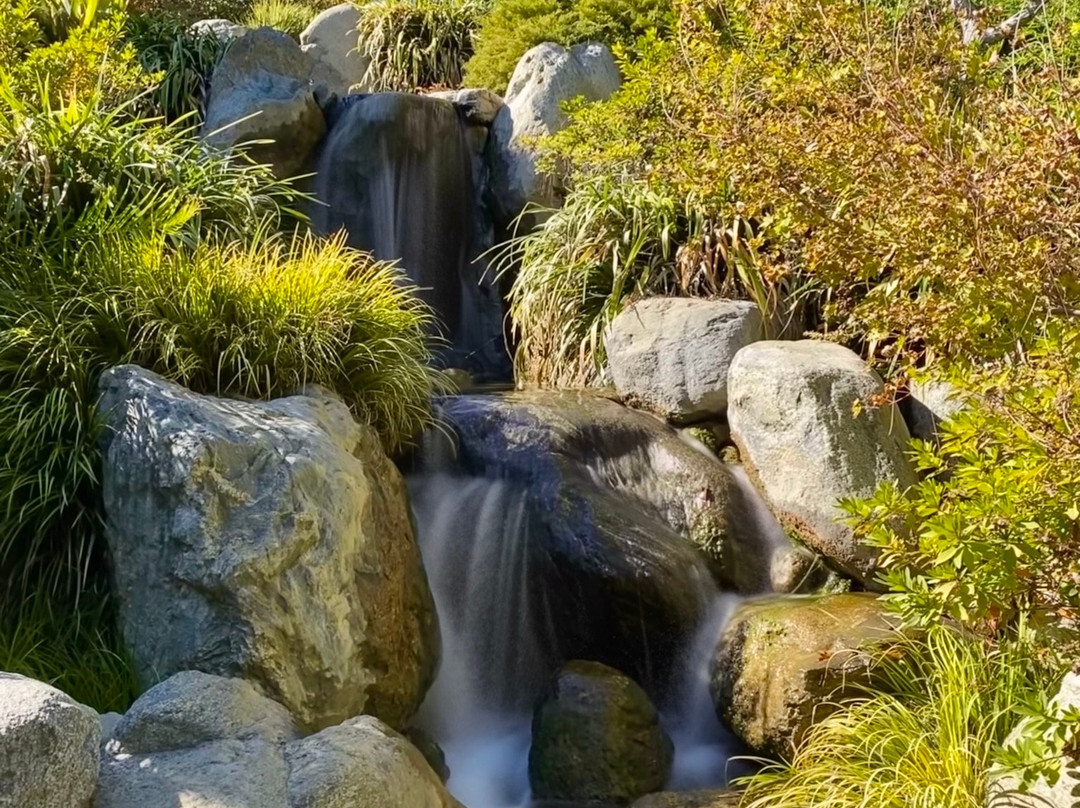 The Huntington Desert Garden-圣玛利诺必去景点