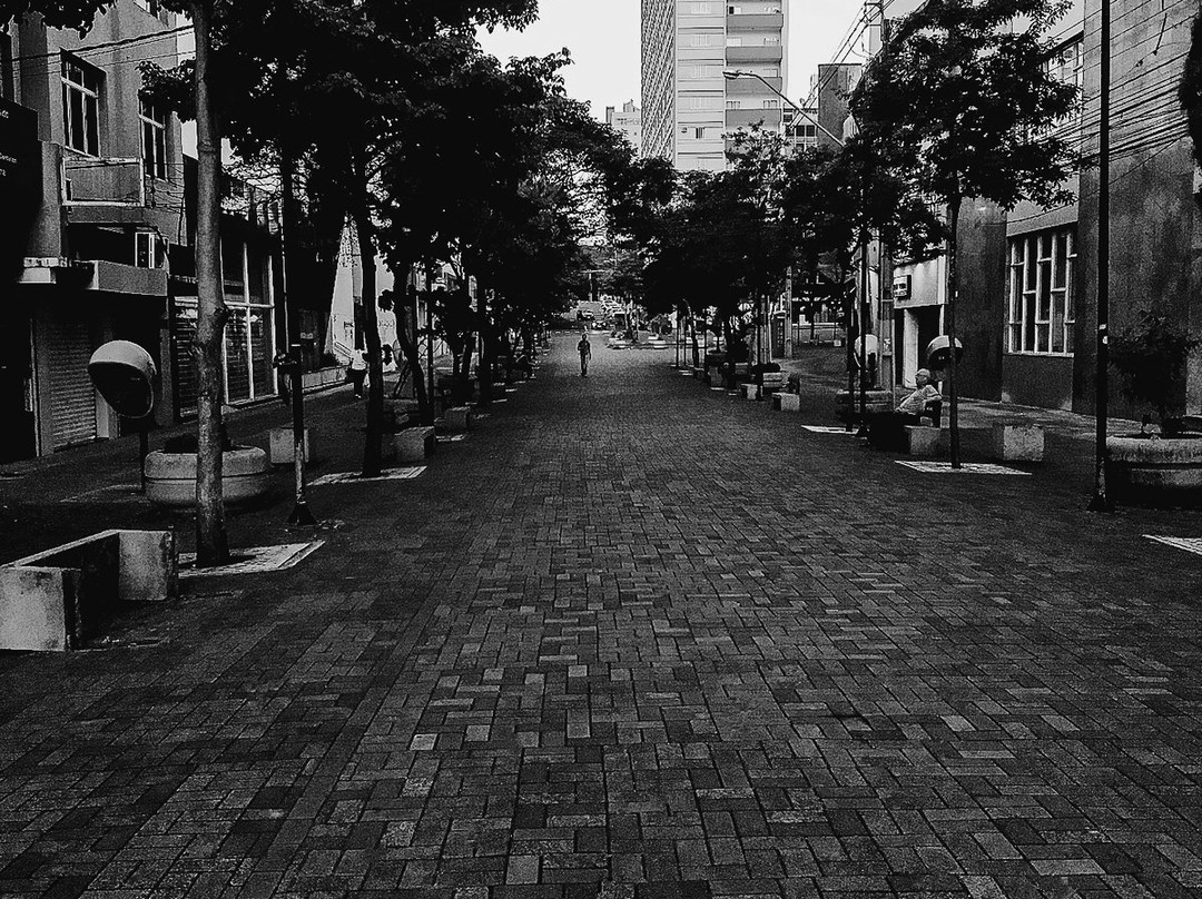 Calçadão de Londrina-Londrina必去景点