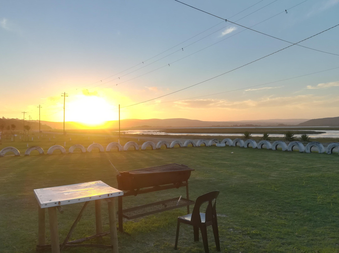 African Oystercatcher Birding Safaris