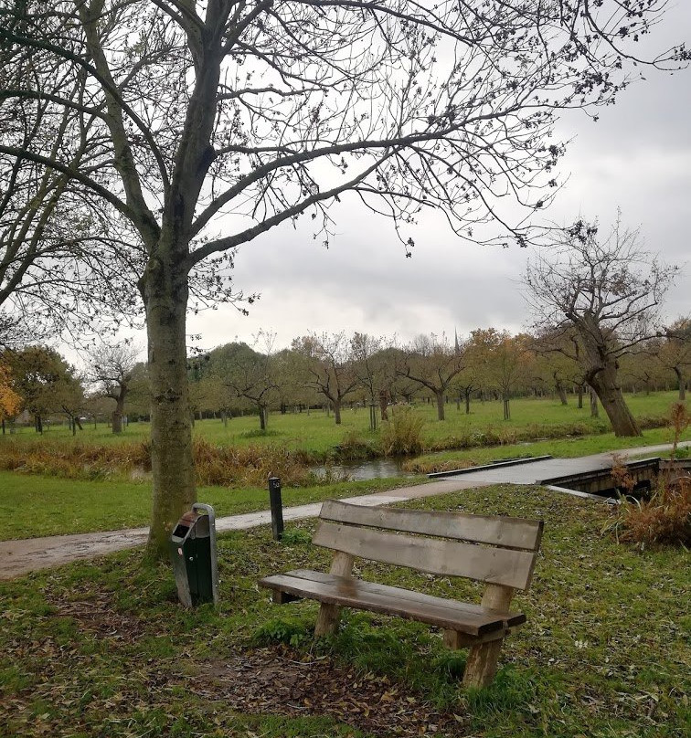 Landgoed Bredius Park-Woerden必去景点