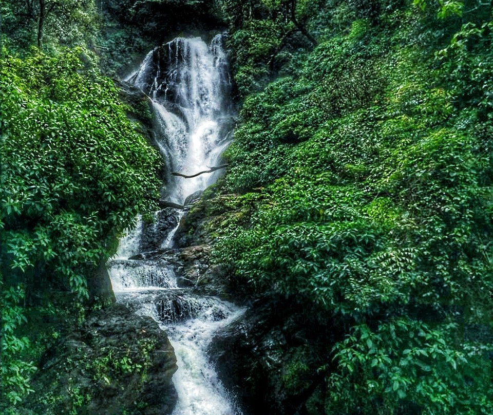 Vibhooti Falls景点图片