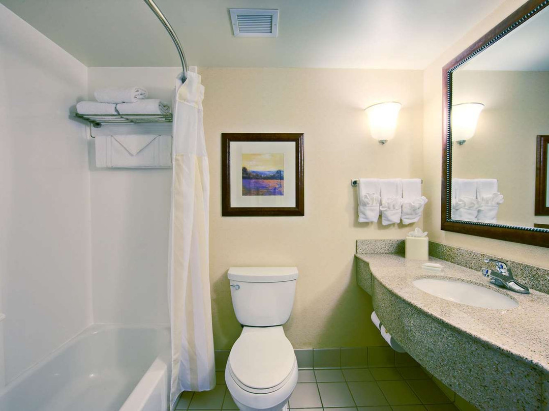 斯普林菲尔德希尔顿花园酒店主图