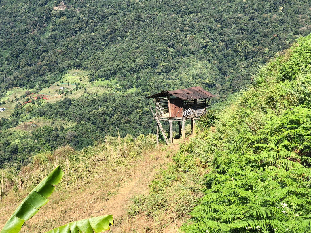 Trogon Villa主图
