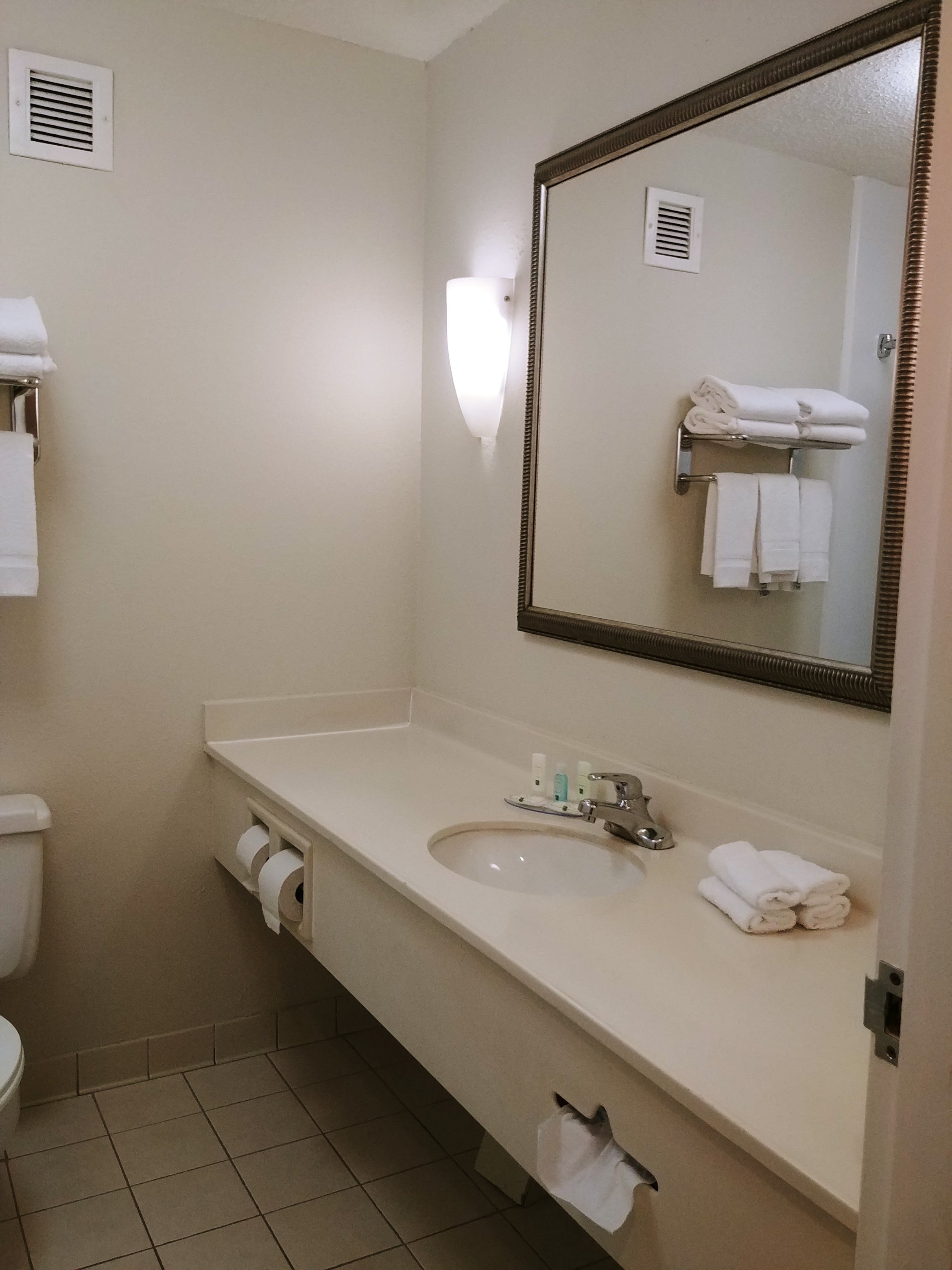 The Lux Hotel & Conference Center, Ascend Hotel Collection-浴室