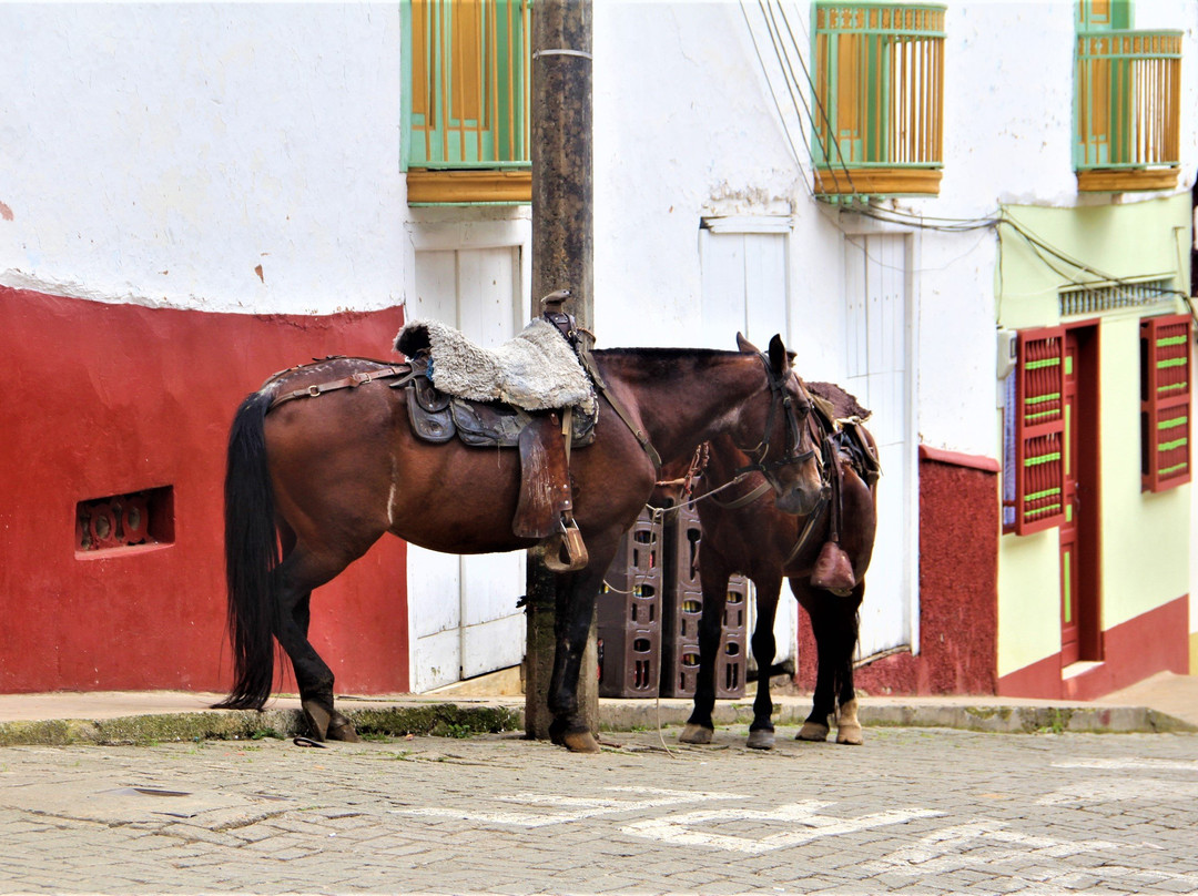 Free Walking Tour-Jerico必去景点
