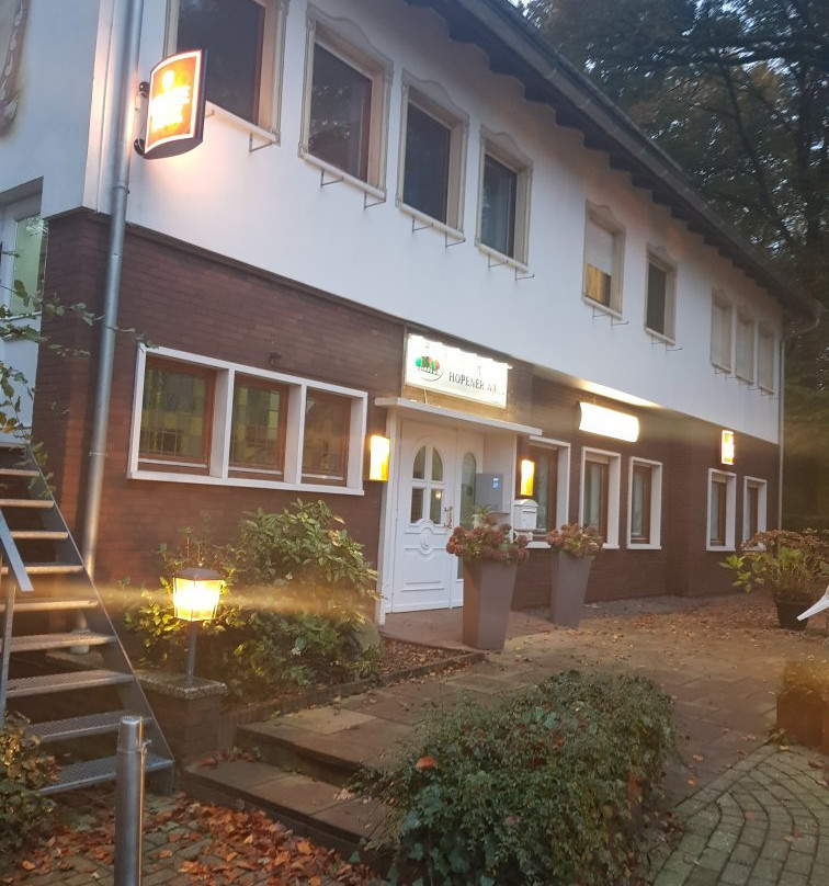 Hotel Hopener Wald主图