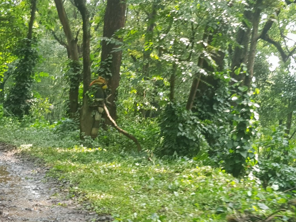Silent Valley National Park-卡拉拉必去景点
