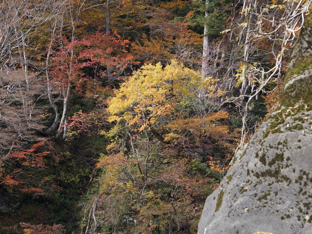 Akiyamago景点图片