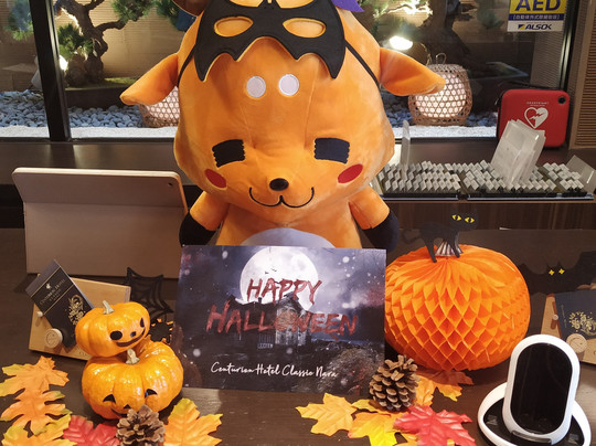 Centurion Hotel Classic Nara主图