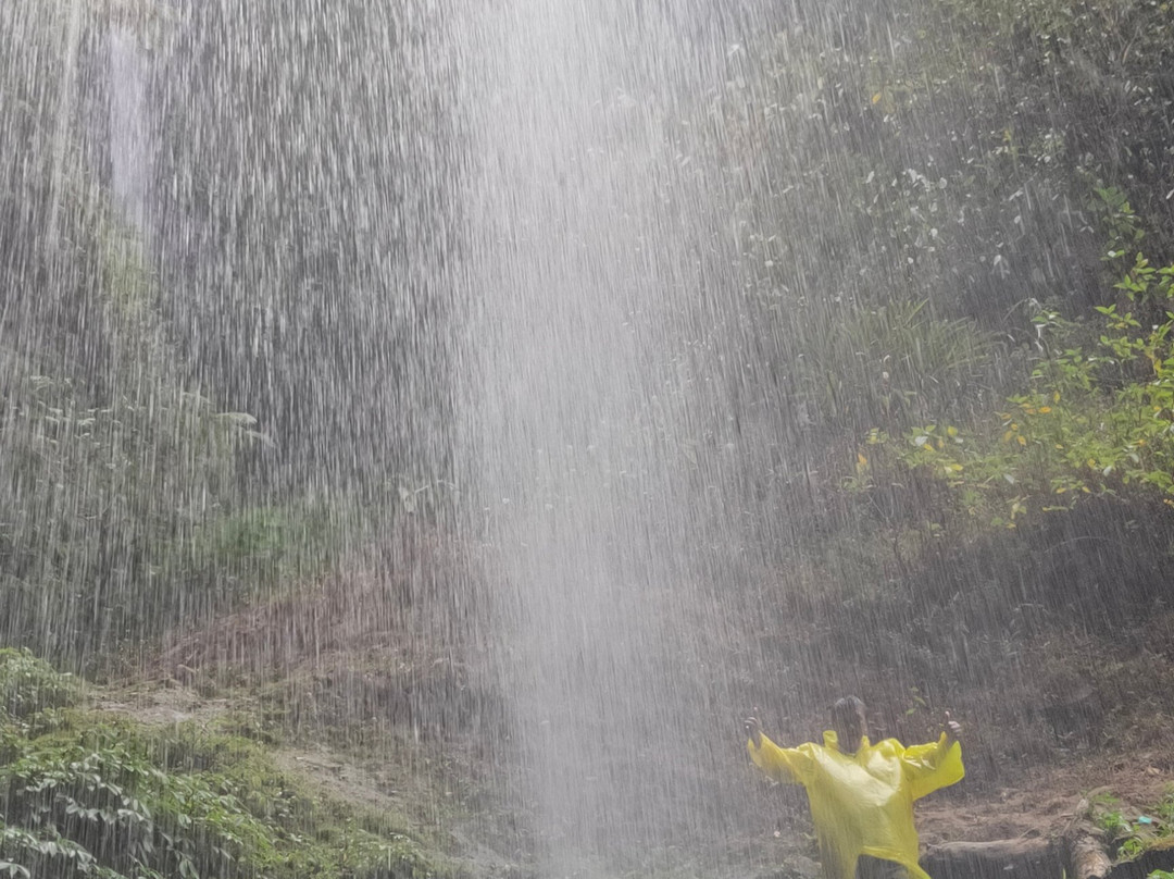 Madakaripura Waterfall-庞越必去景点