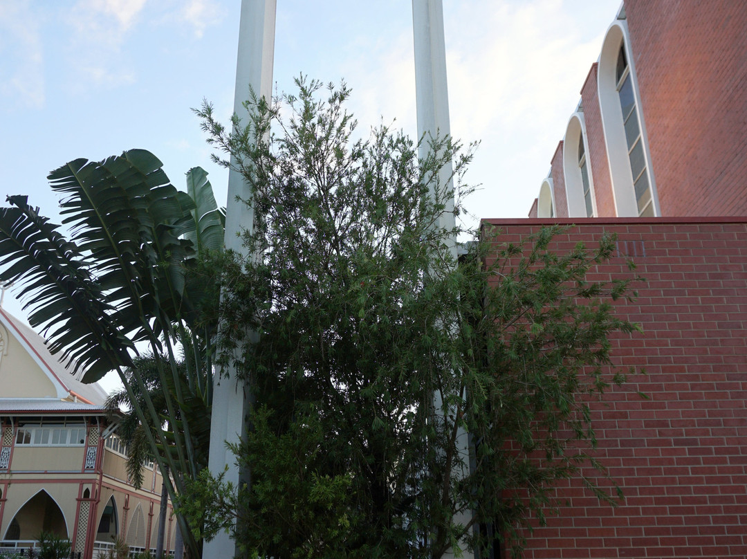 St Monica's Cathedral-凯恩斯必去景点