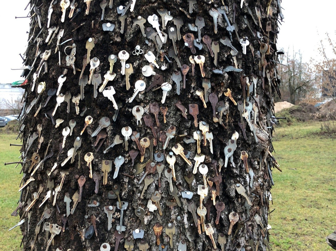 Key tree - Raktu uosis-Panevezys必去景点