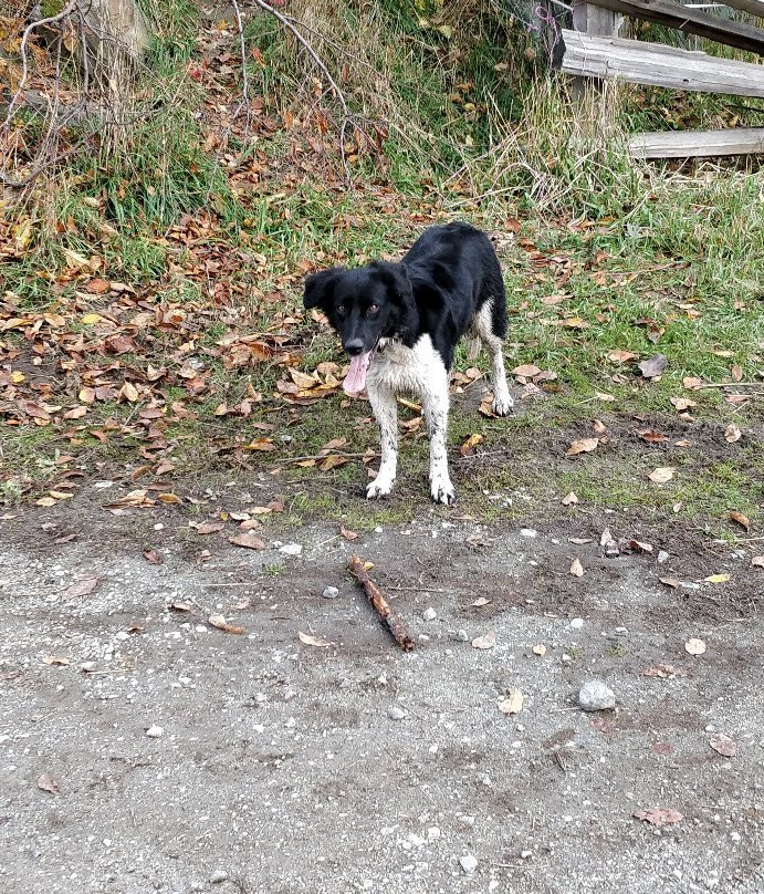 Adventure on Horseback-Pemberton必去景点