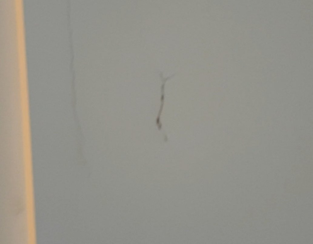 最佳西方莫宁顿布鲁克兰酒店主图