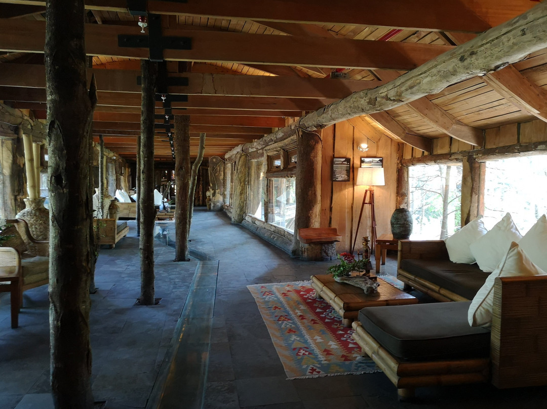 Huilo Huilo Nothofagus Hotel主图