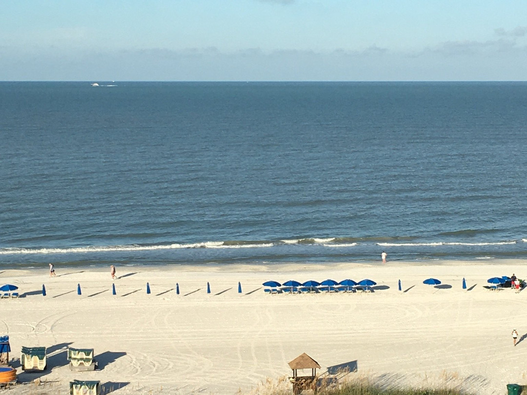 The Surf Club of Marco主图