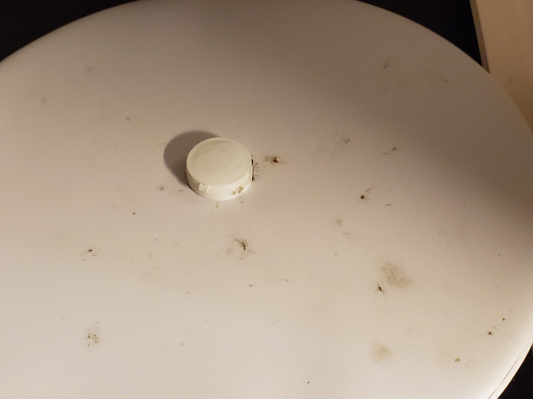 Comfort Inn & Suites主图