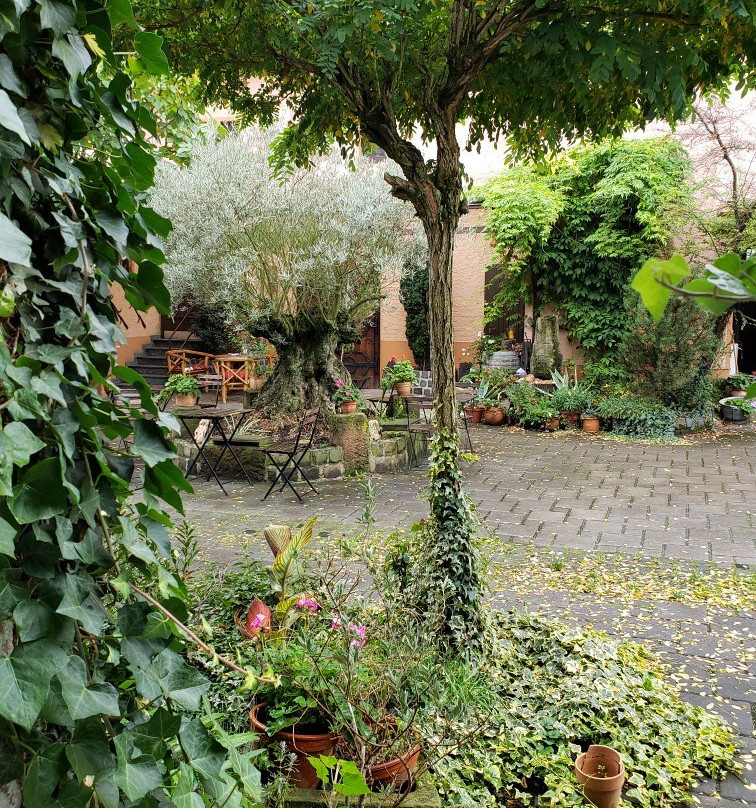 Hotel Gasthof Gruener Wald主图