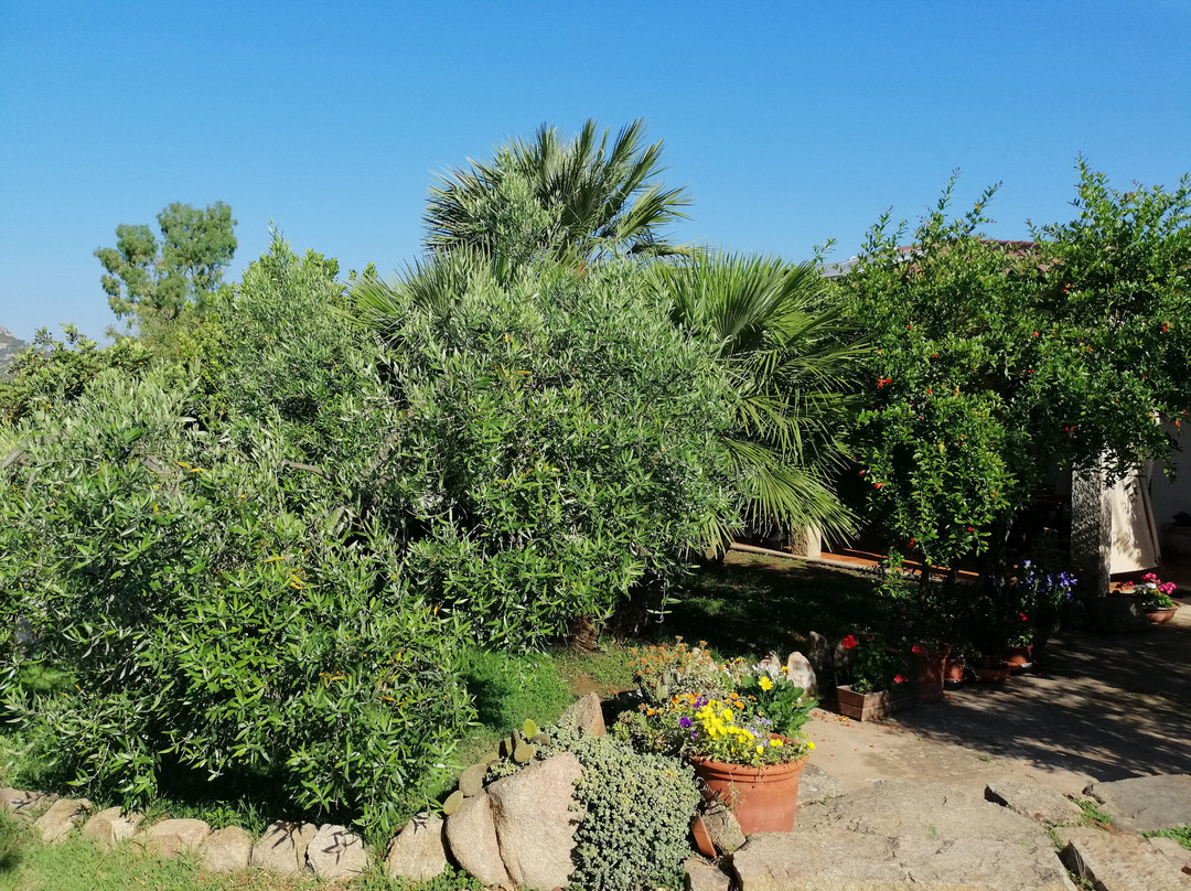 Domo Minnannu Miriu主图