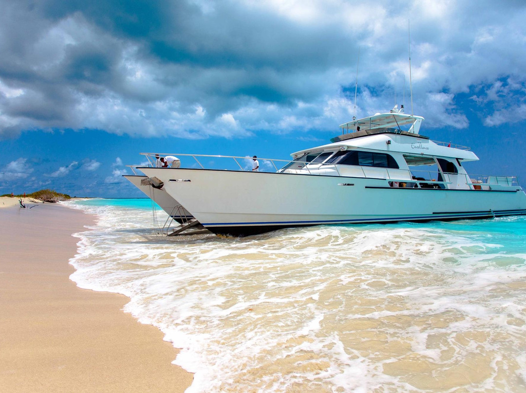 Tropical Adventures - Excellence Catamaran-圣 约翰必去景点