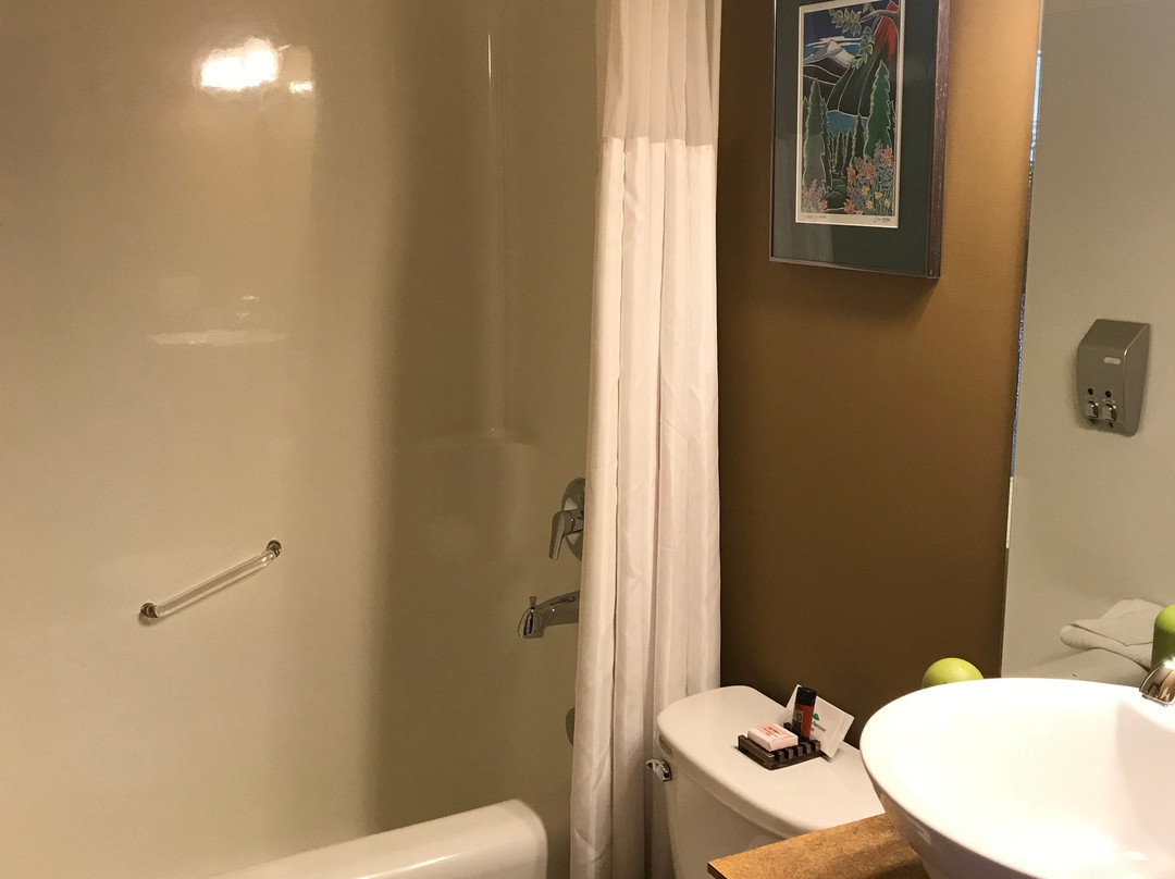 Truffle Pigs Lodge主图