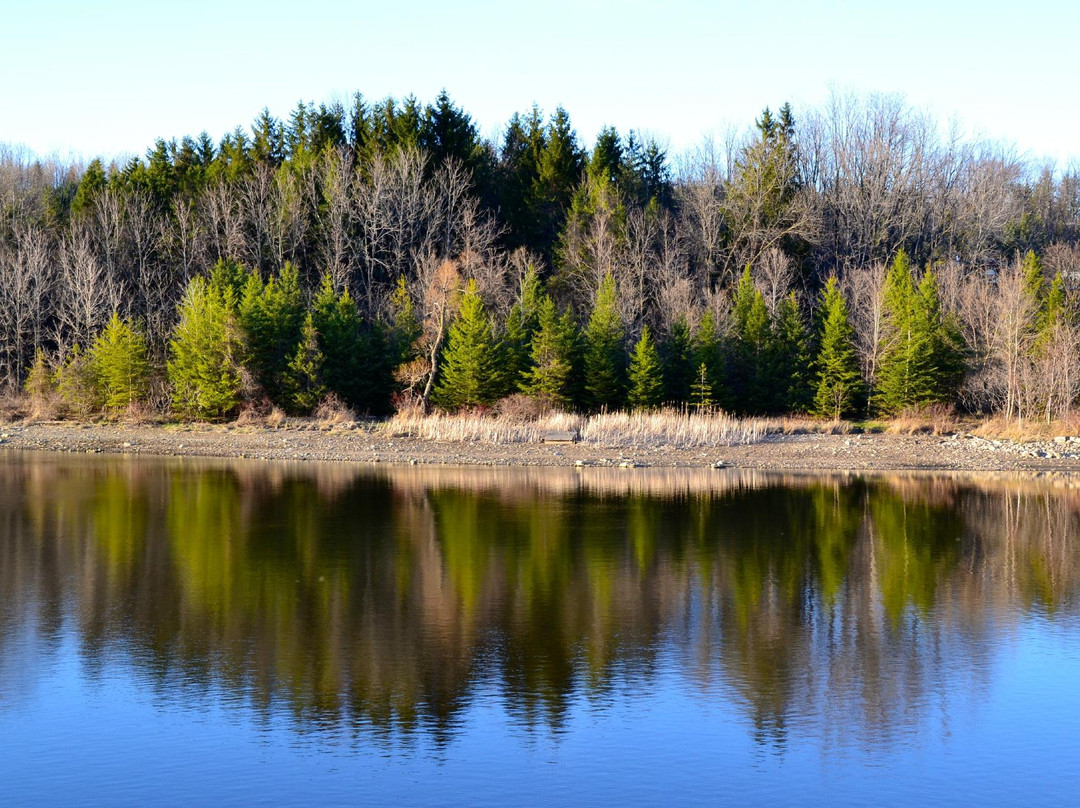 Christie Lake Conservation Area景点图片