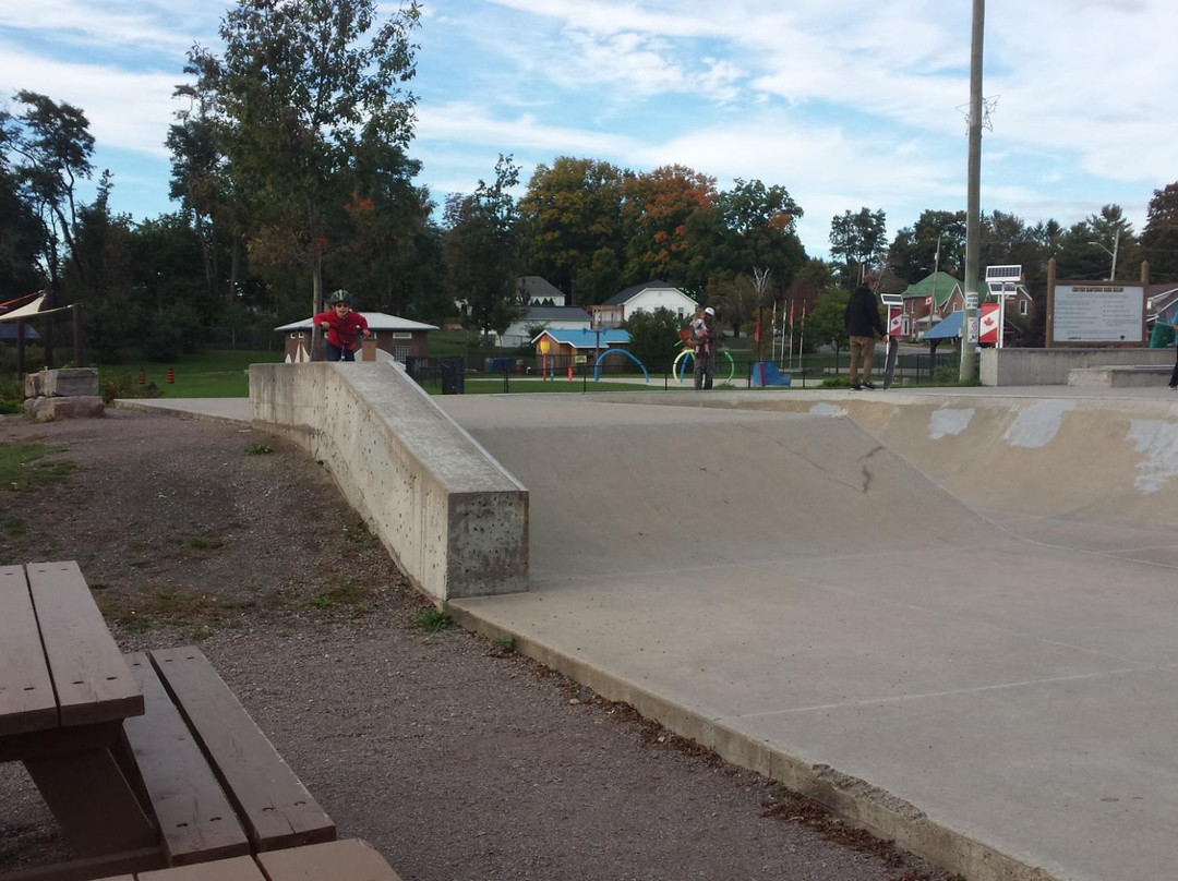 Madoc Skatepark景点图片