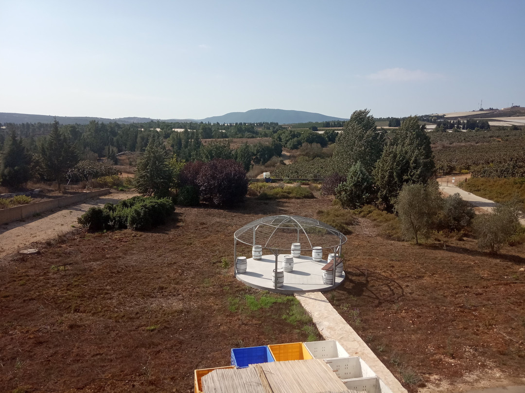 Galil Mountain Winery-Yiron必去景点