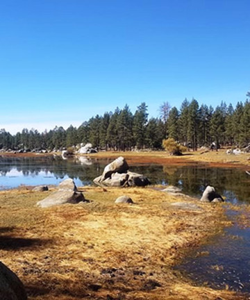 Parque Nacional Constitución de 1857景点门票图片