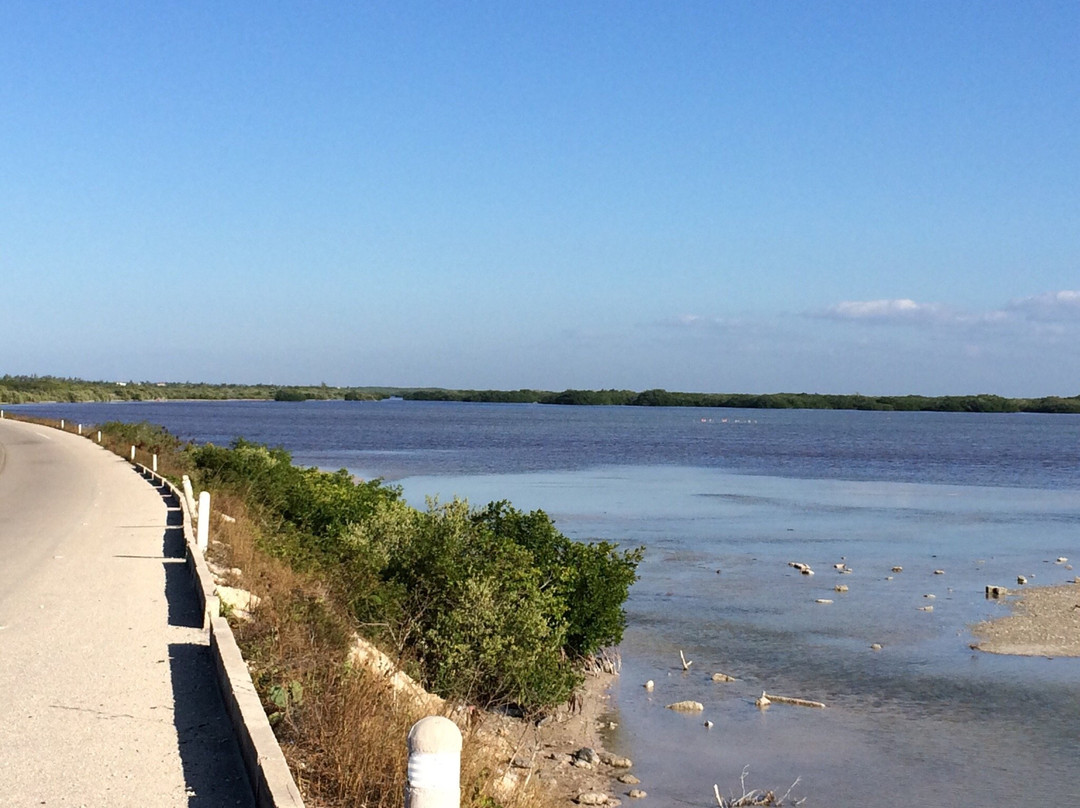 Laguna Rosada景点图片