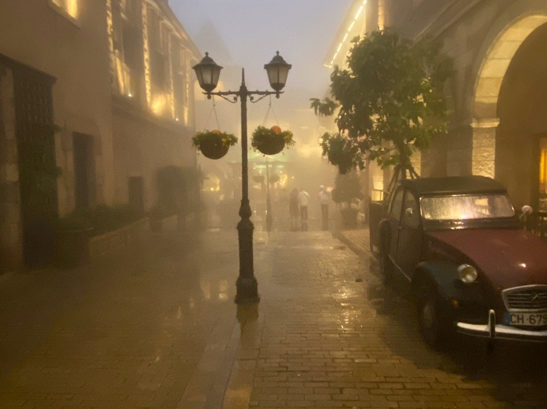 Vm Cars - The Car You Trust-岘港必去景点