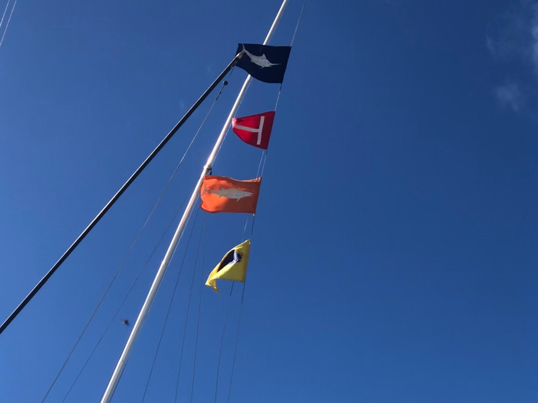 Nemesis Sport Fishing-埃里埃利必去景点