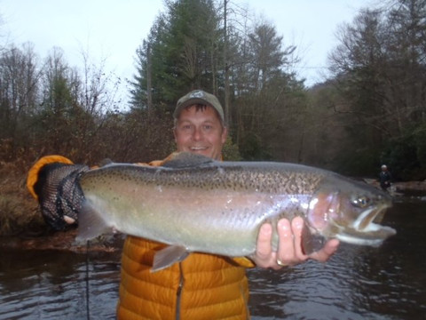 Mountains to Coast Fly Fishing & Shotgun Sports Guide Service