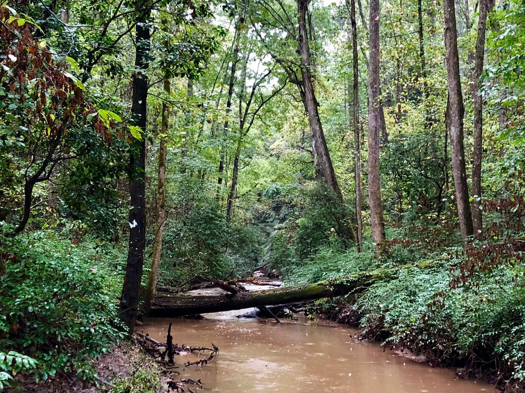Lake Zwerner Trail-达洛尼加必去景点