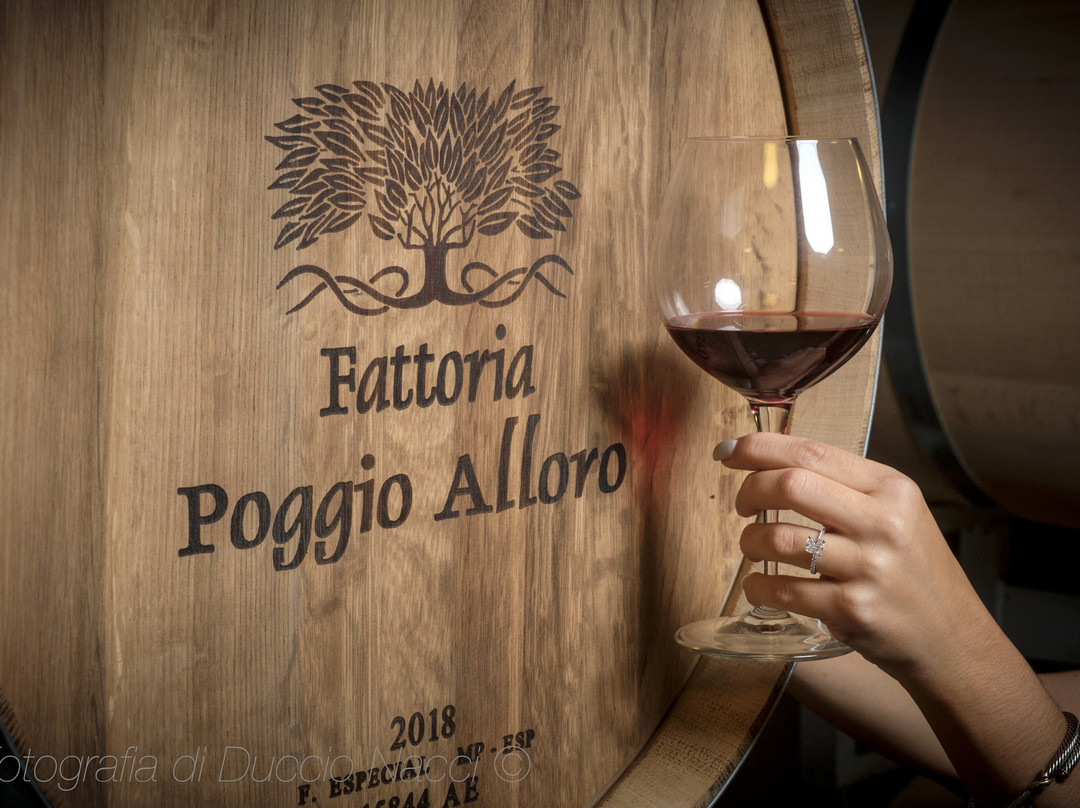 La Bottega del Sale di Duccio Nacci photographer-圣吉米尼亚诺必去景点