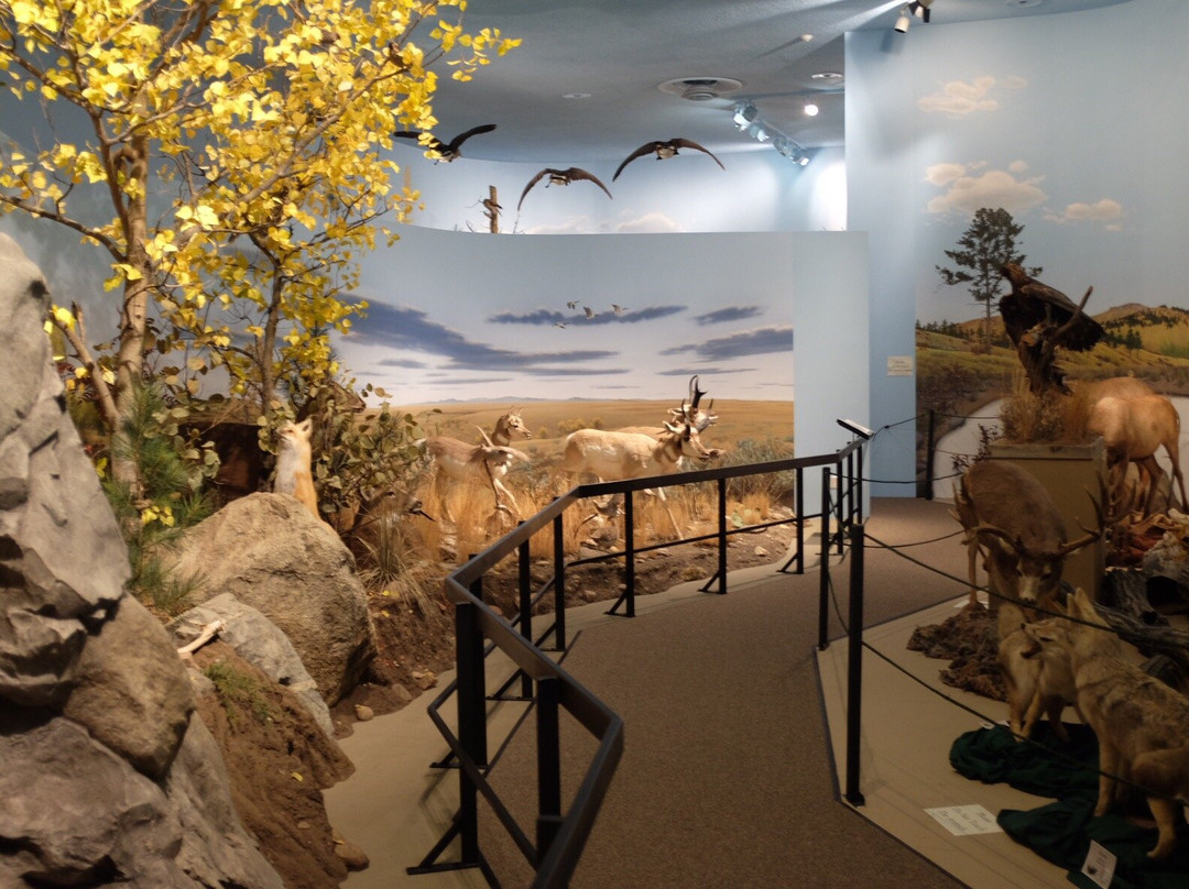 Blain County Wildlife Museum景点图片