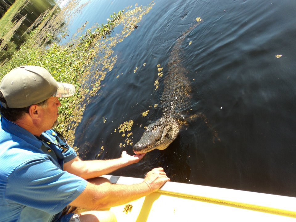 Atchafalaya Basin Landing & Airboat Swamp Tours景点图片