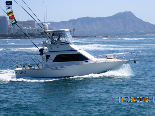 Whipsaw Sportfishing
