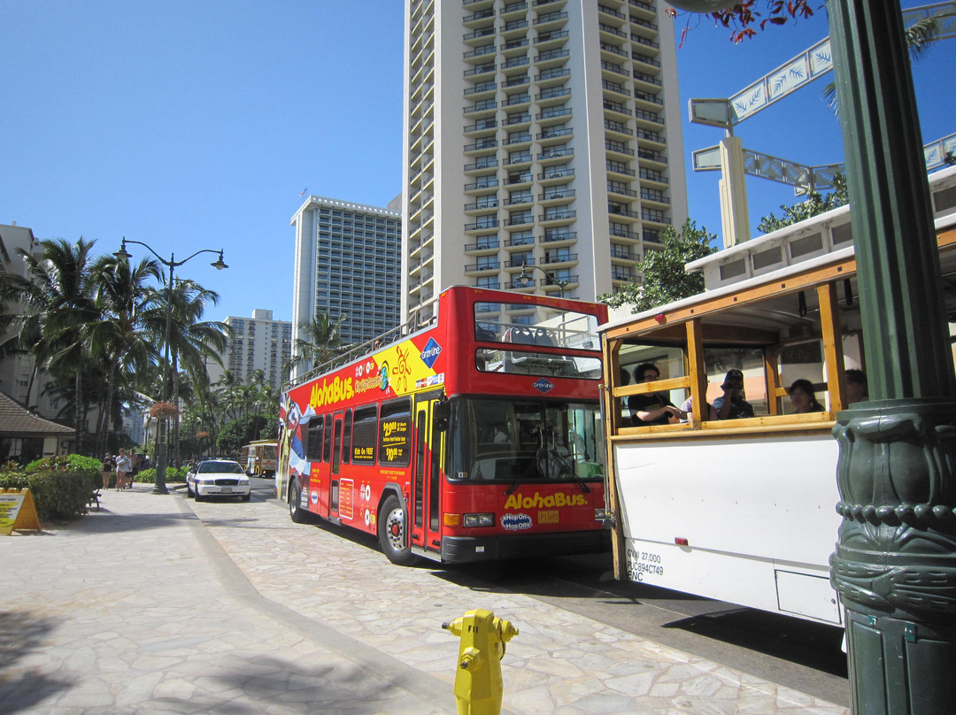 Aloha Bus - City Sightseeing景点图片