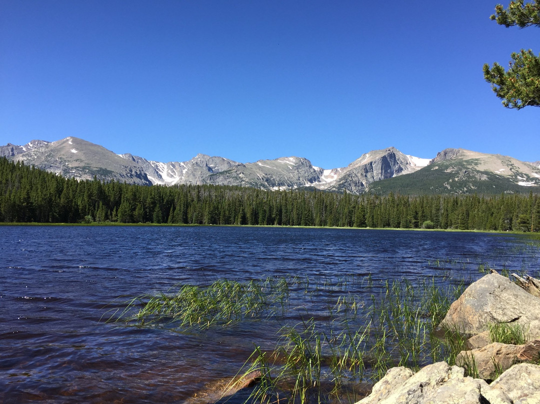 Bierstadt Lake景点图片