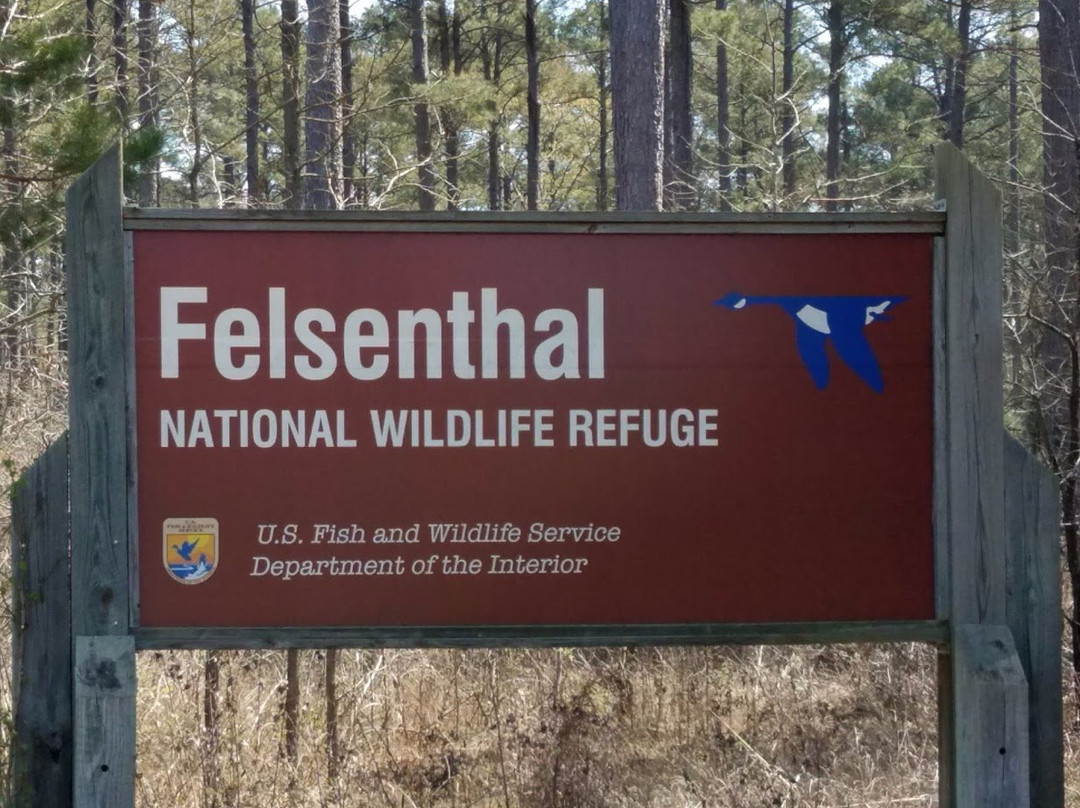 Felsenthal Nation Wildlife Refuge Visitor Center景点图片