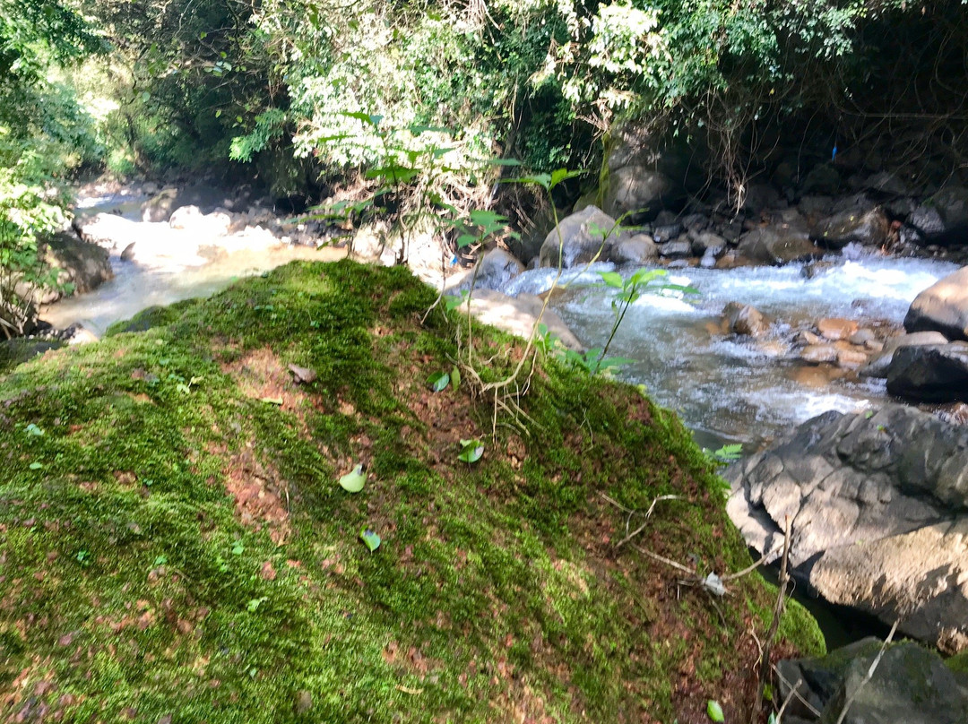 Sada Falls景点图片
