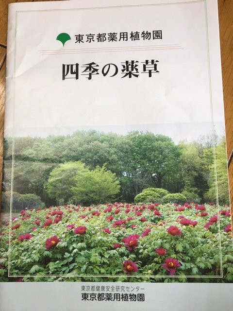 Tokyo Medicobotanical Garden景点图片