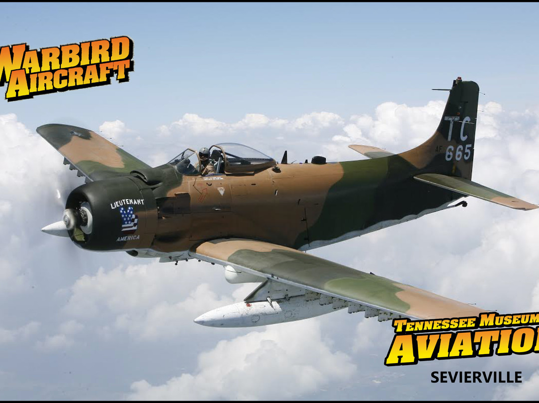 Tennessee Museum Of Aviation