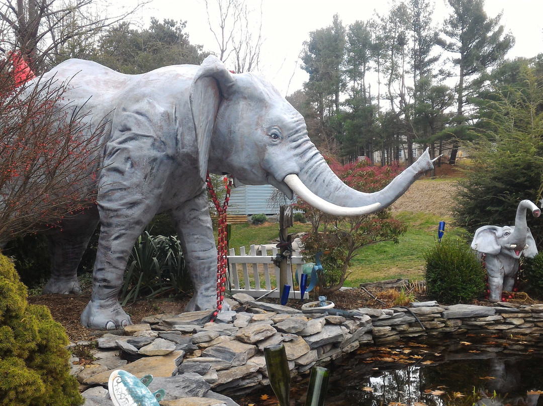 Mister Ed's Elephant Museum景点图片