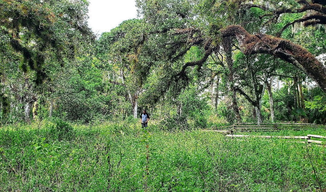 Loxahatchee River Battlefield Park-朱庇特必去景点