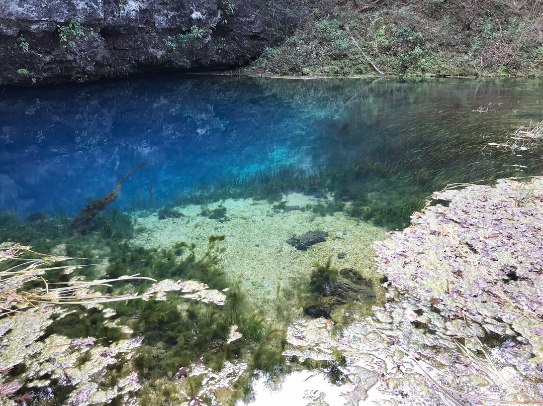 Hawkins House B & B主图